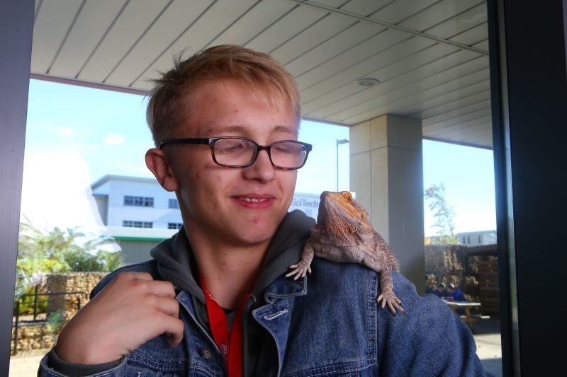 Other image for Creature comforts for students